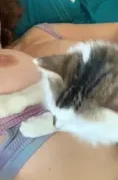 Cosmic Kitty Cat Onylfans Videoları part 1