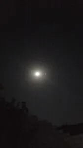 1000126432